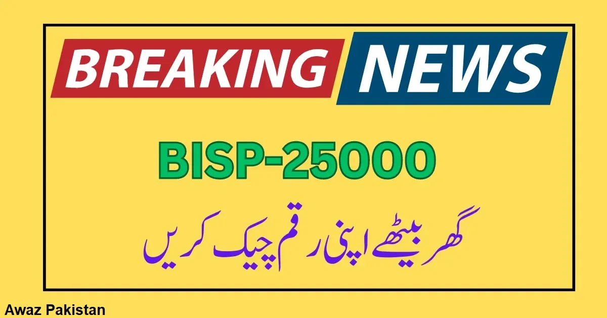 Ehsaas 8171 Check Online 25000 Registration 2024 –  Awaz Pakistan