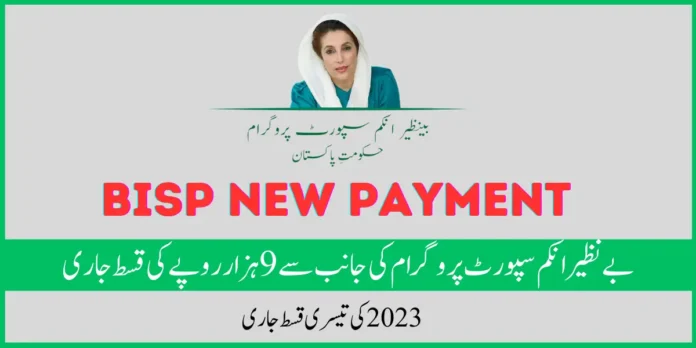 BISP New Payment Online Check complete method guide